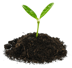 Protección de cultivos