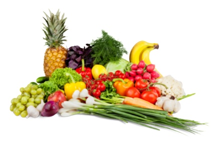 Nutrición