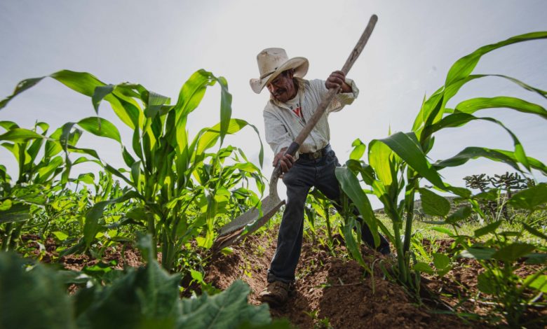 Gobierno de Yucatán presenta Expo Pro Agro Innovación; buscan impulsar la agricultura, tecnología, economía y el turismo